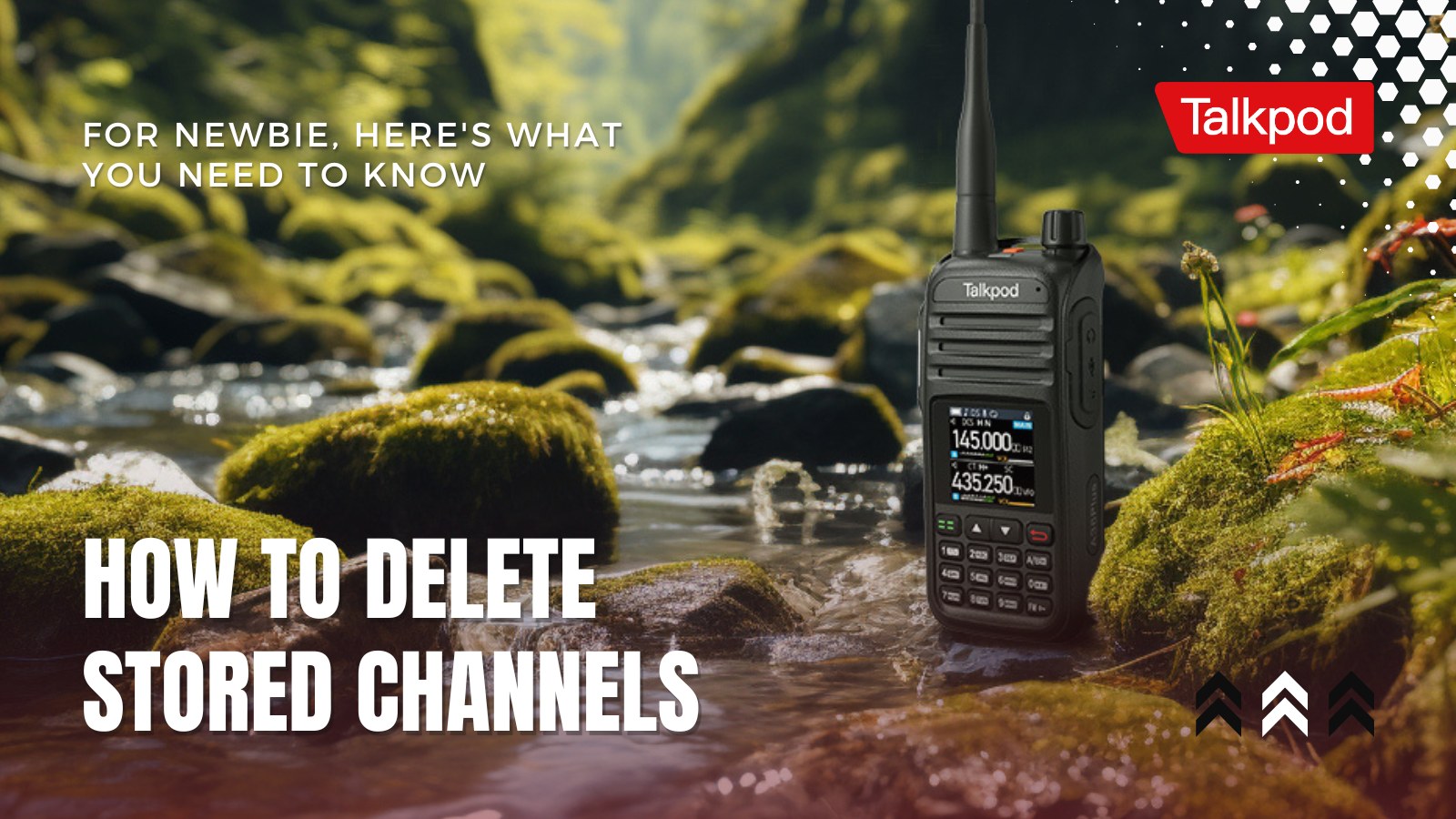 Simplify Your Radio Management: How to Delete Stored Channels!