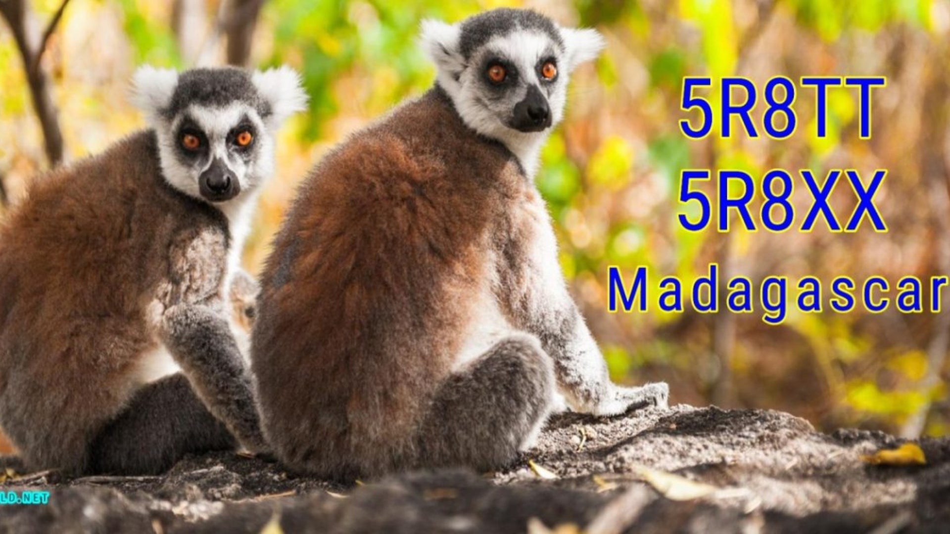 Repost: 5R8TT & 5R8XX – Madagascar DXpedition