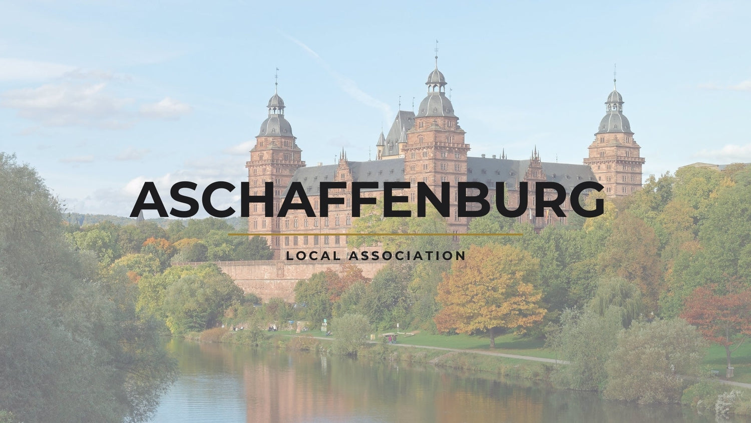 Welcome to the Aschaffenburg Local Association (B04)
