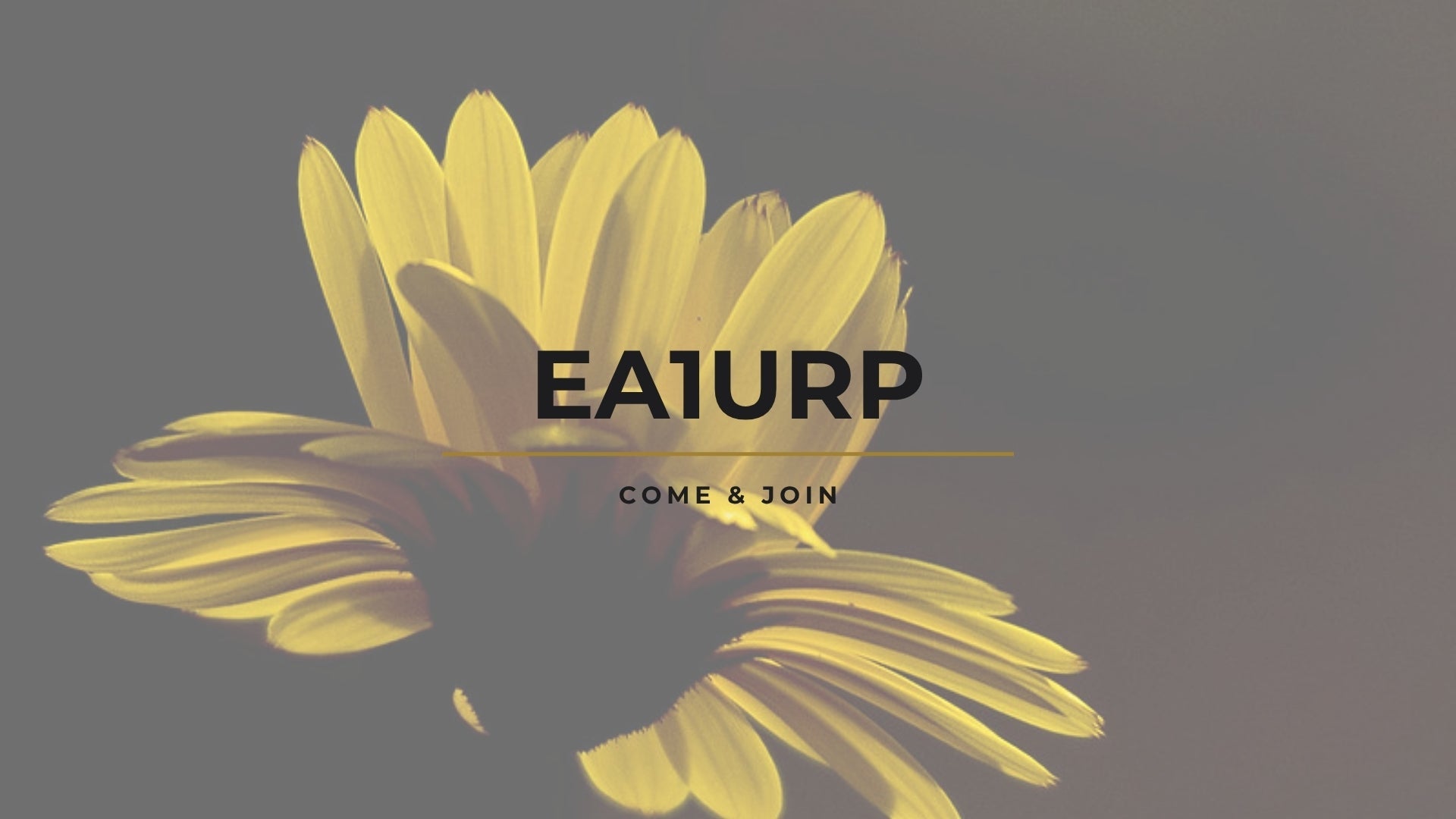 La meseta modulada: Palencia y la persistencia analógica