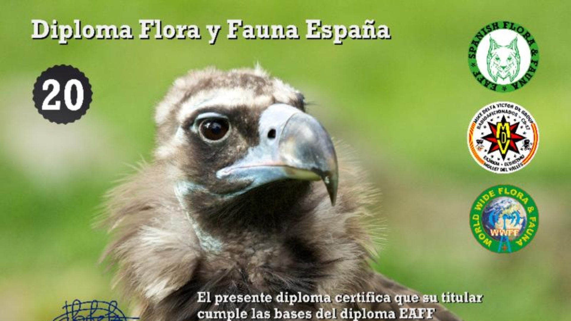 Motril en el aire: una estación con vistas al Mediterráneo