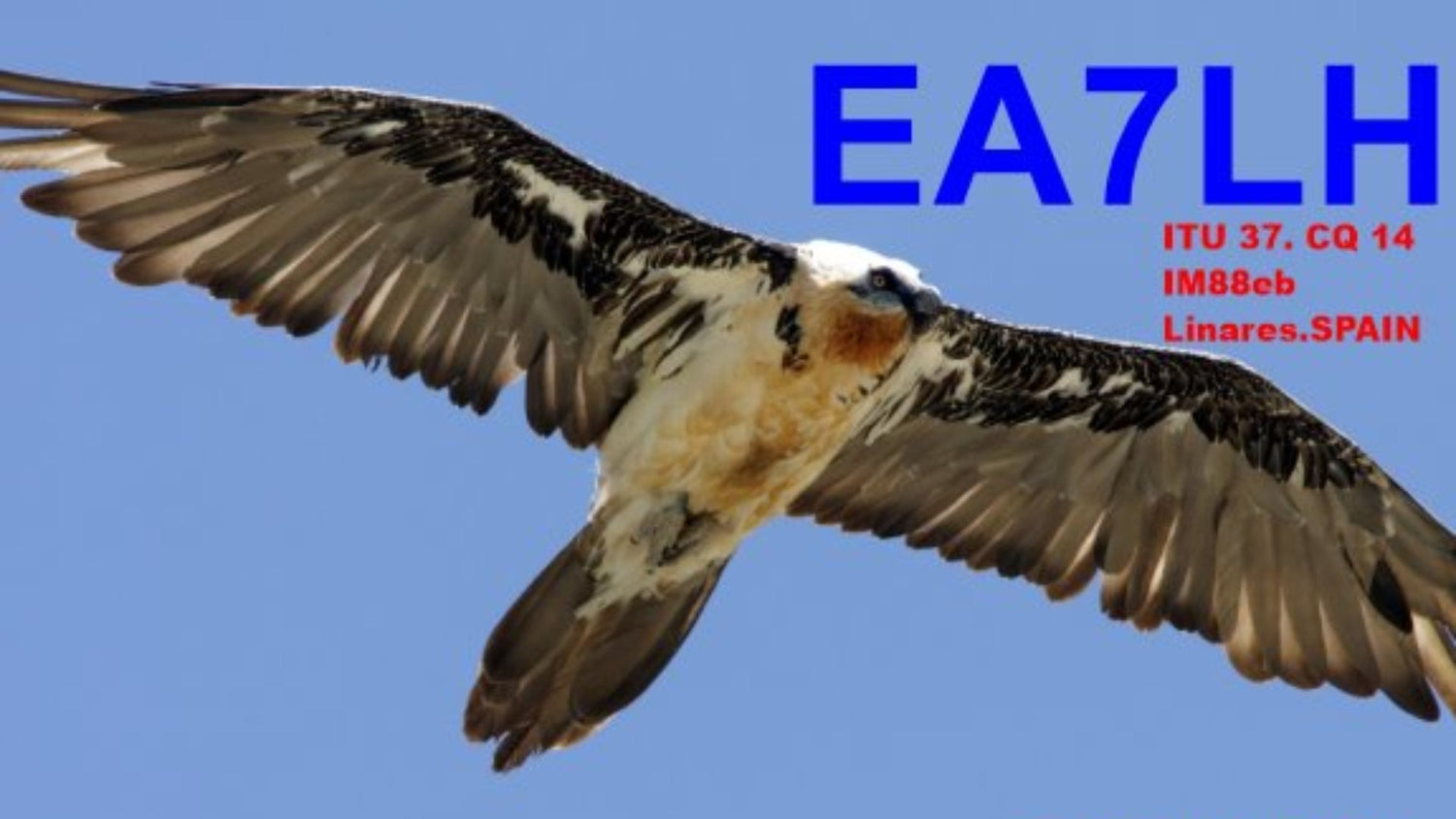 Linares y las ondas: una estación de autobuses convertida en punto de encuentro radiofónico