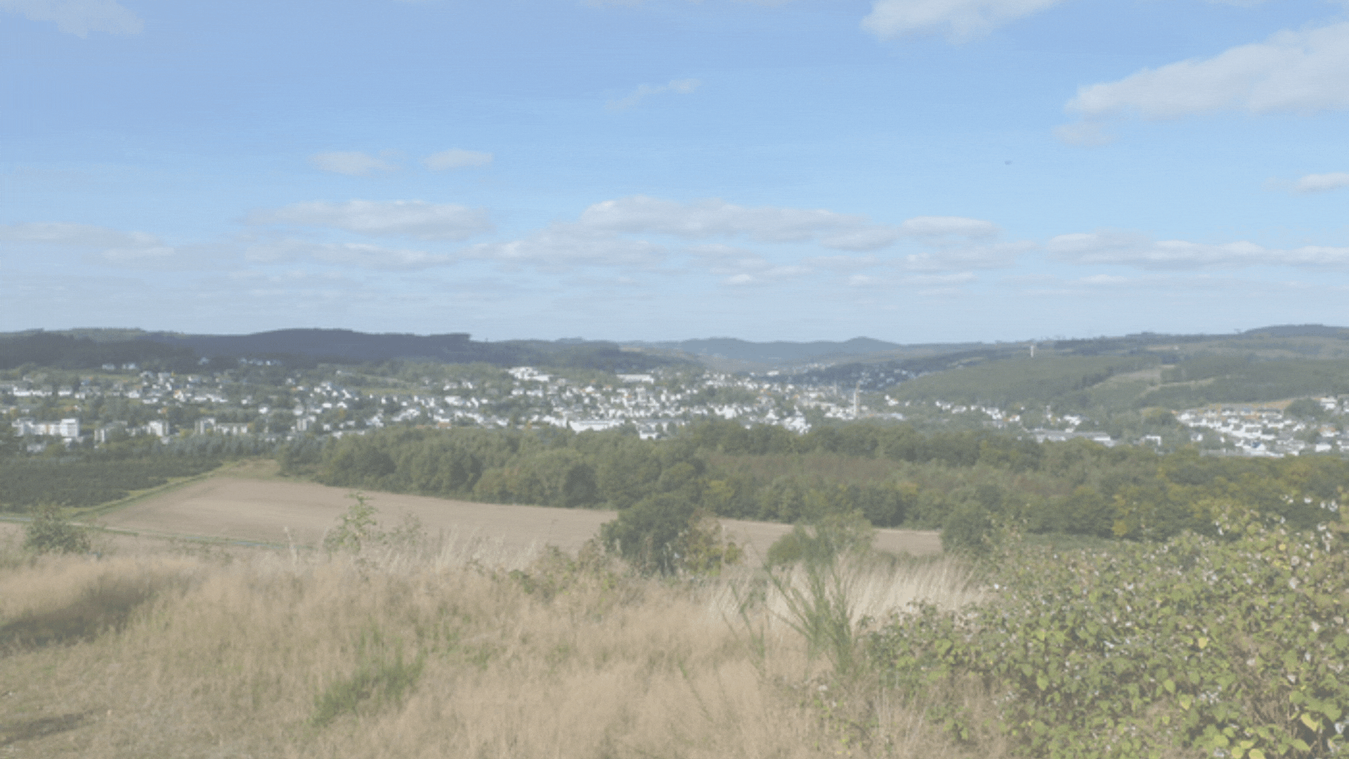 Signals in the Sauerland: The Quiet Consistency of OV Sundern (O02)