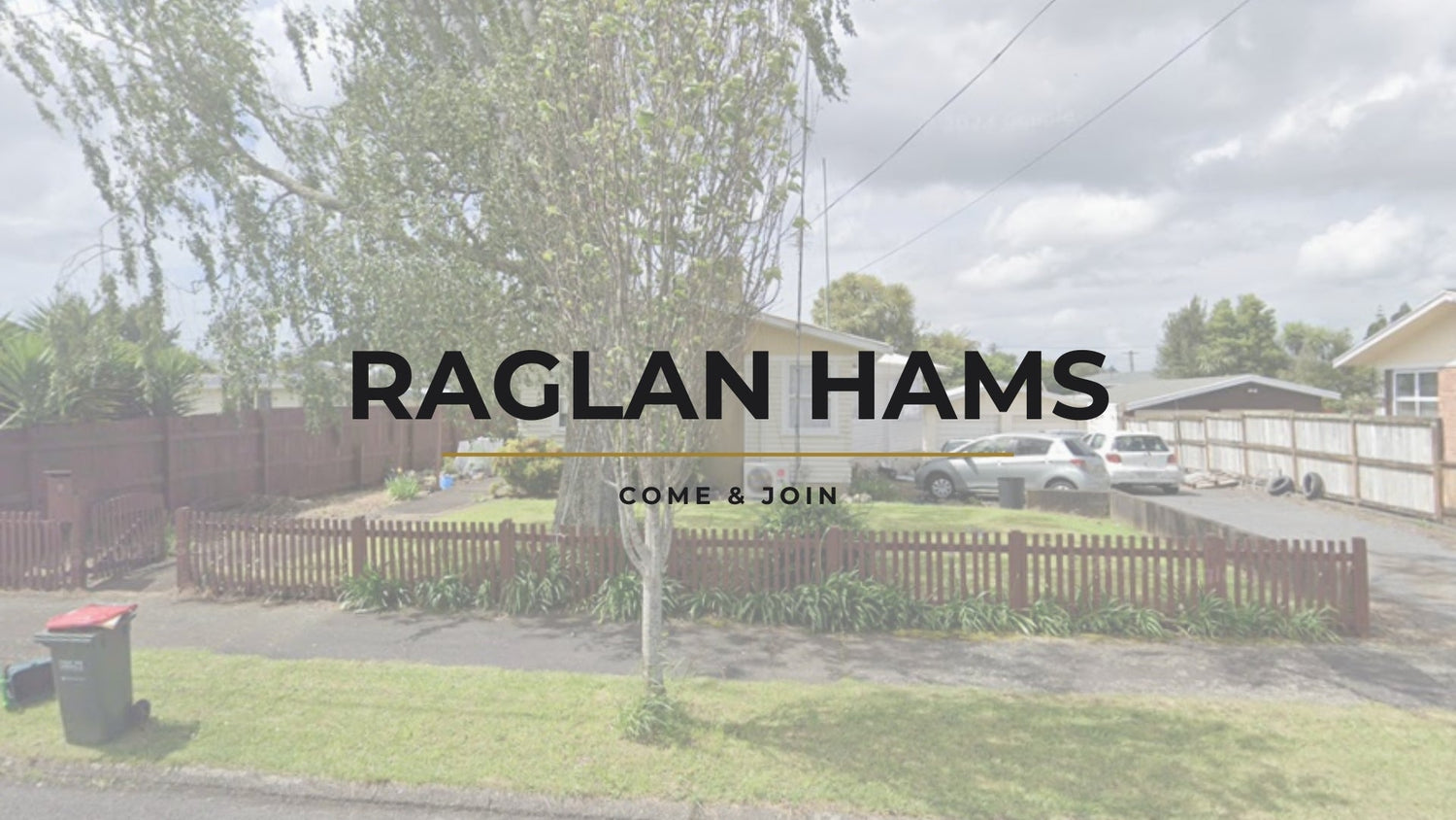 Raglan Hams: Keeping the Waikato's Coastal Connections Alive