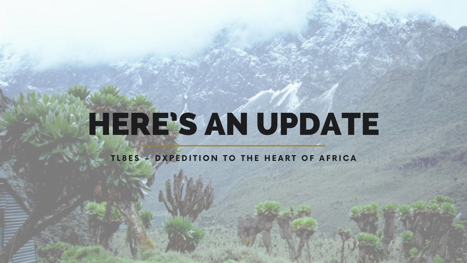 TL8ES – DXpedition to the Heart of Africa: Central African Republic