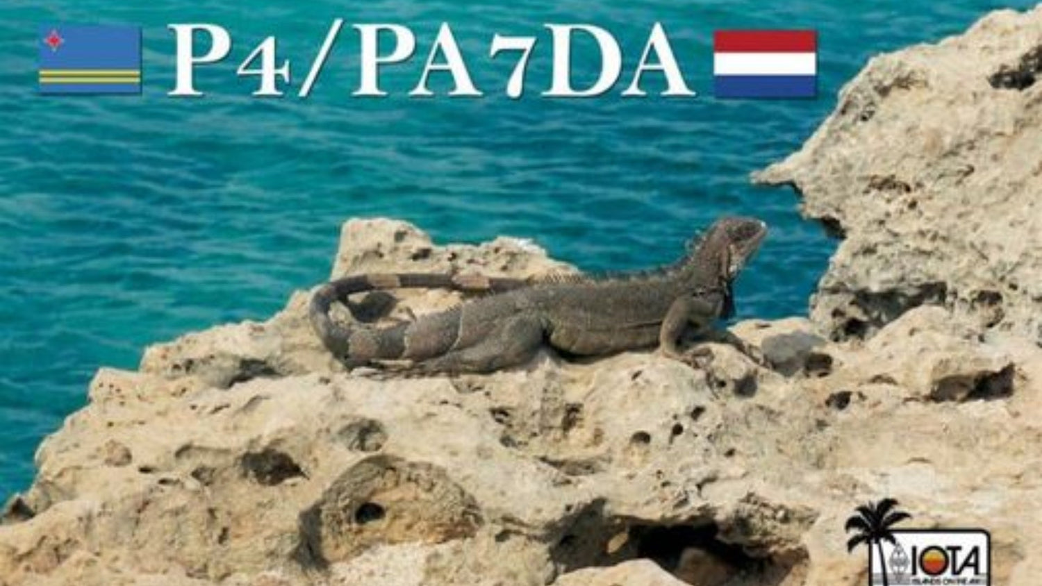 VERON Afdeling Leiden: Your Gateway to Amateur Radio in the Leiden Region