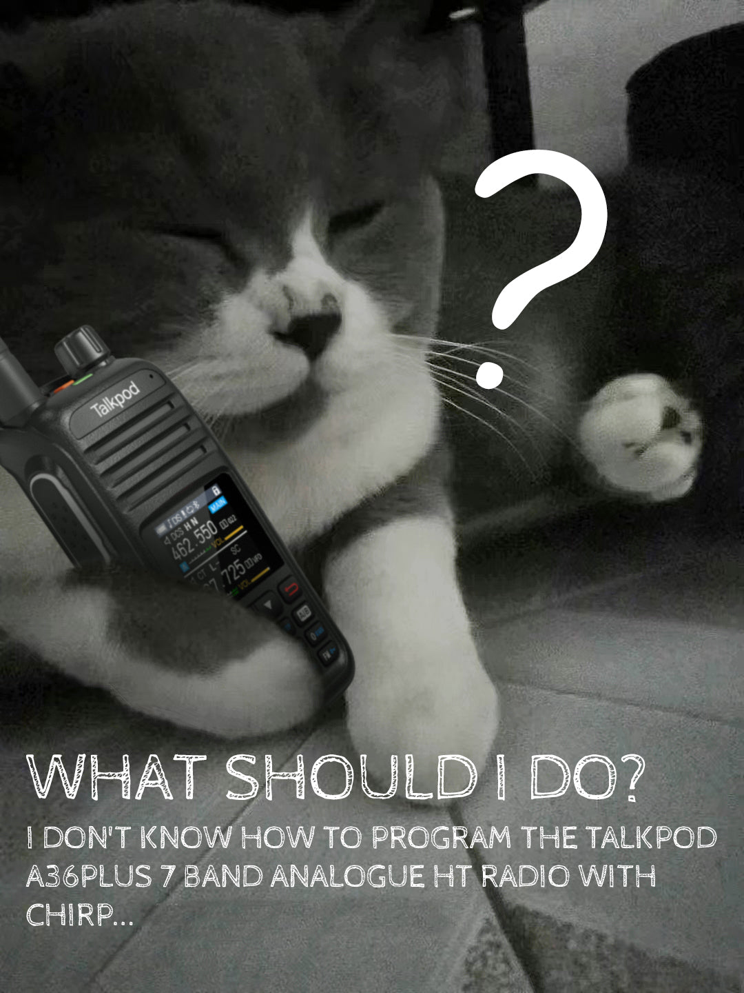 Mastering Chirp: A Comprehensive Guide to Programming Your Talkpod A36 Plus