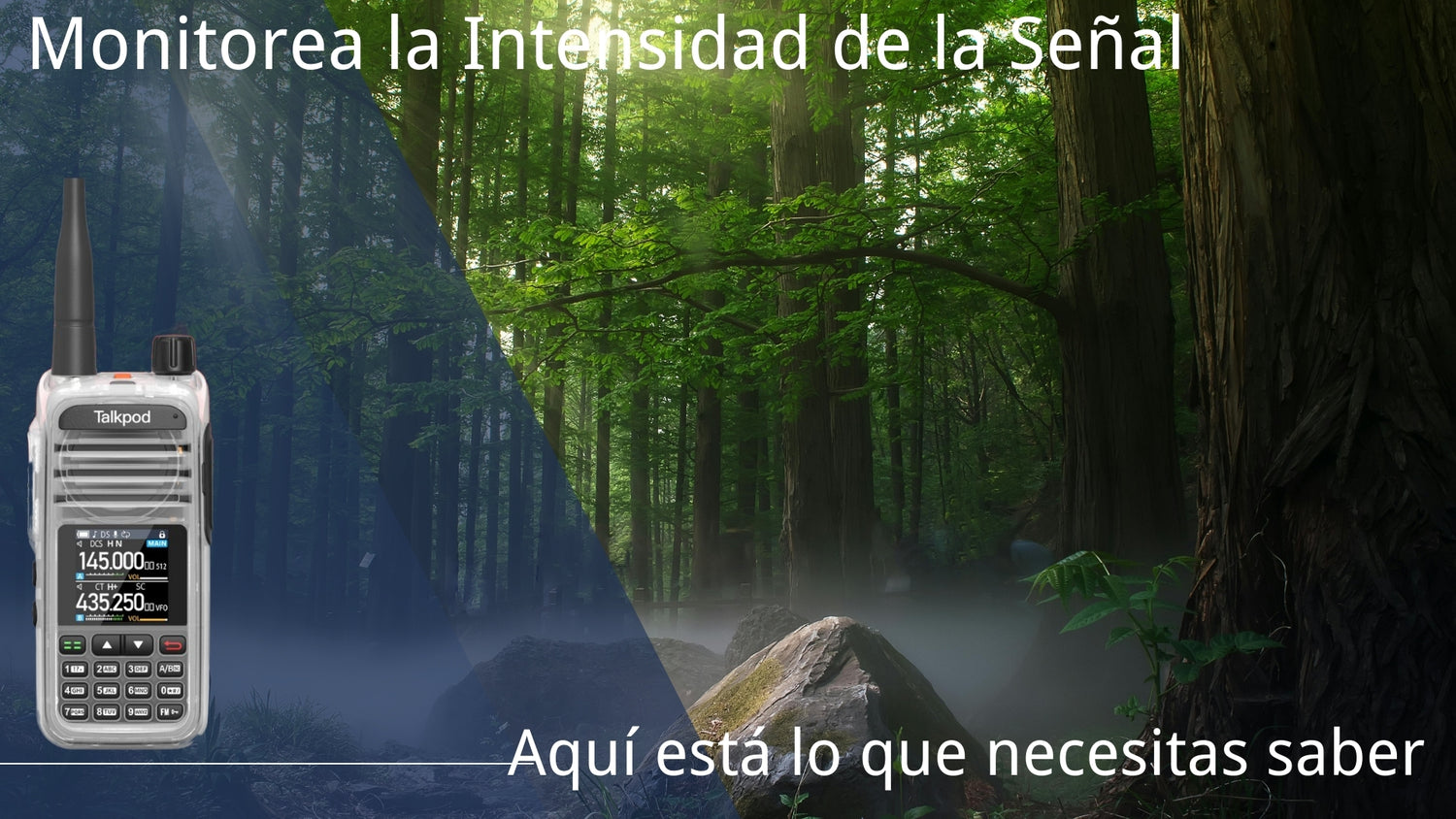 📡 Monitorea la Fuerza de la Señal con los Ajustes de la Tabla del S-meter (Dis S-meter Table)