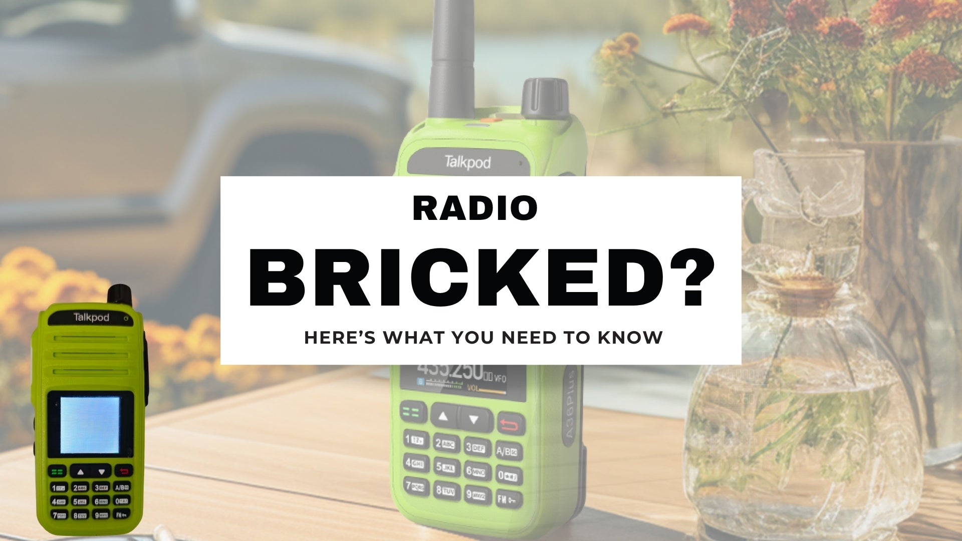 What Should I Do If My A36Plus Get Bricked?