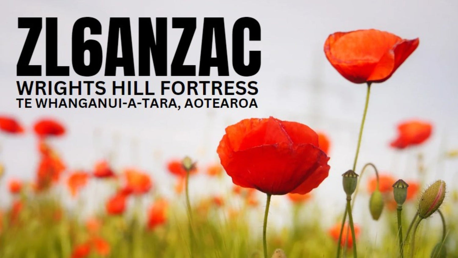 Repost: ZL6ANZAC – ANZAC Day Special Event Callsign