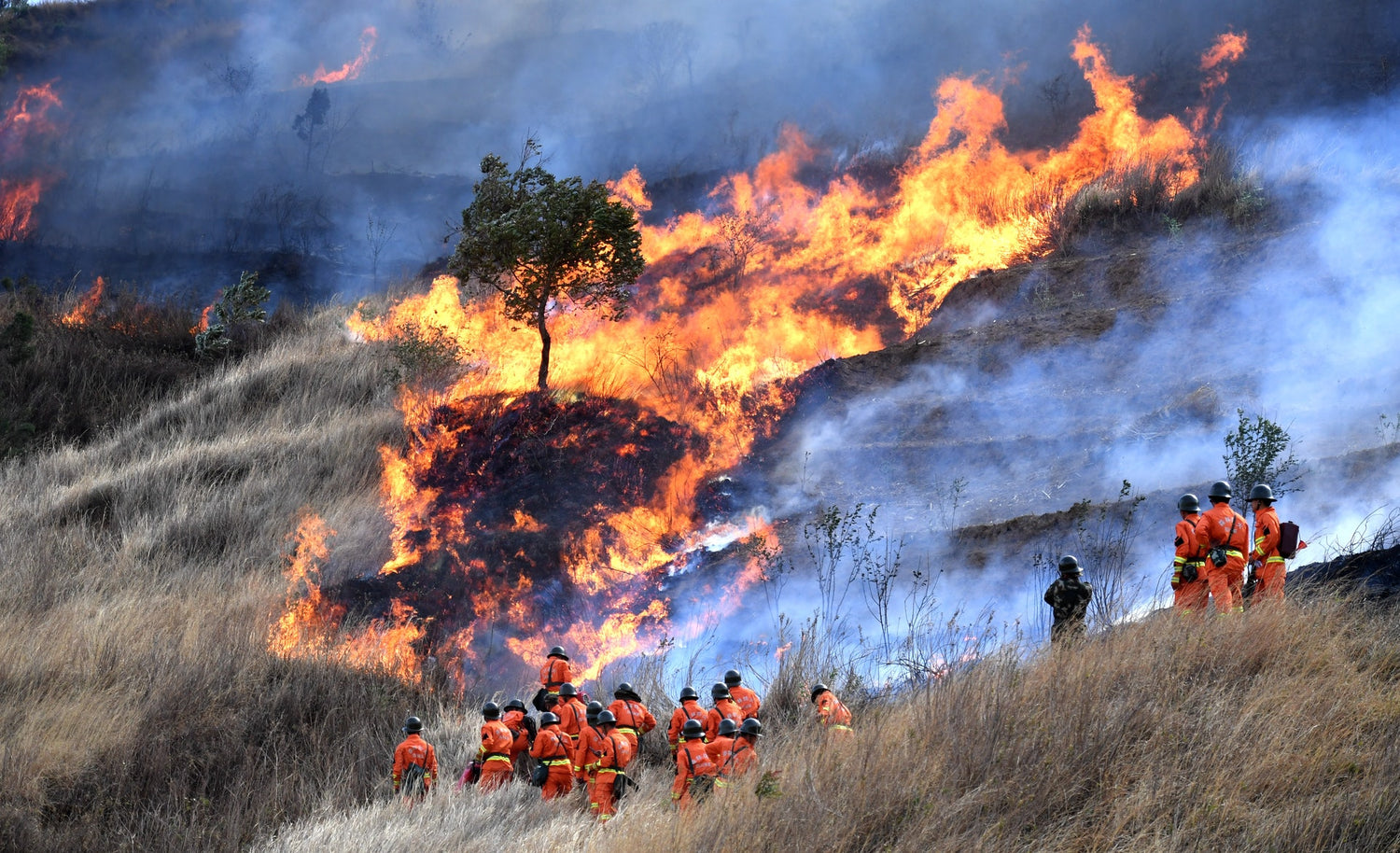 TALKPOD PROVIDES YUNNAN FORESTRY A SMART POC SOLUTION