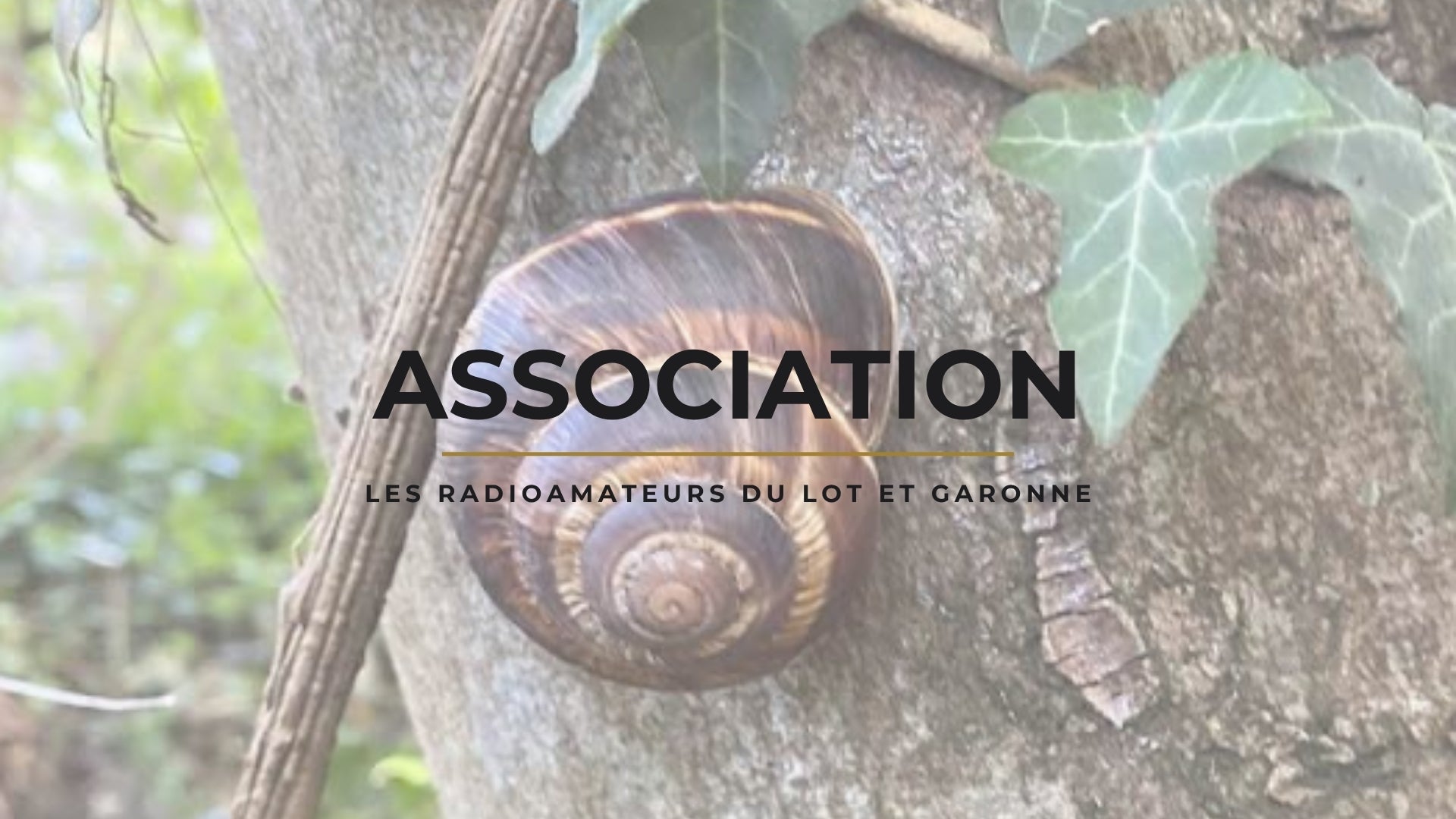Lot-et-Garonne : Les Radioamateurs 47, un Cœur Battant pour les Ondes et la Formation