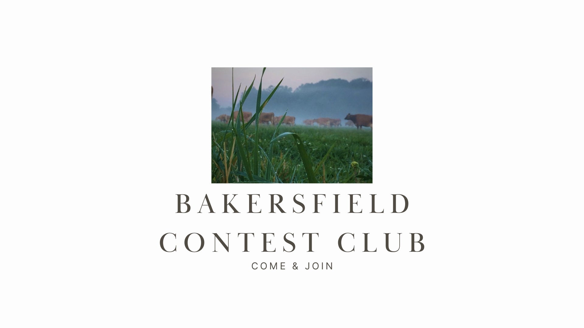 W6BCC Bakersfield Contest Club: A Hub for Contest Enthusiasts