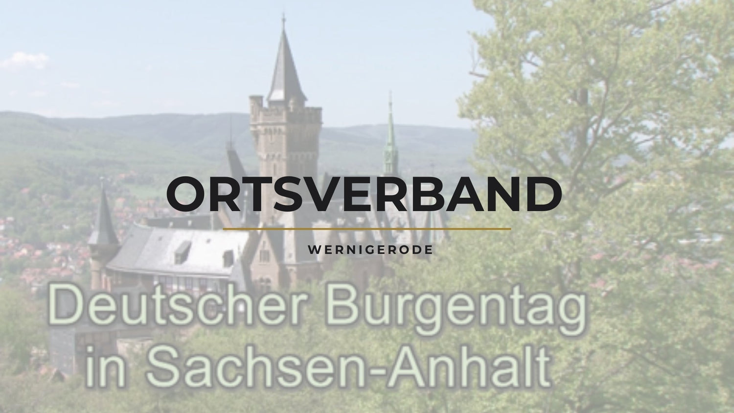 Amateurfunk in Wernigerode: Aktivitäten und Gemeinschaft des DARC Ortsverbands W09