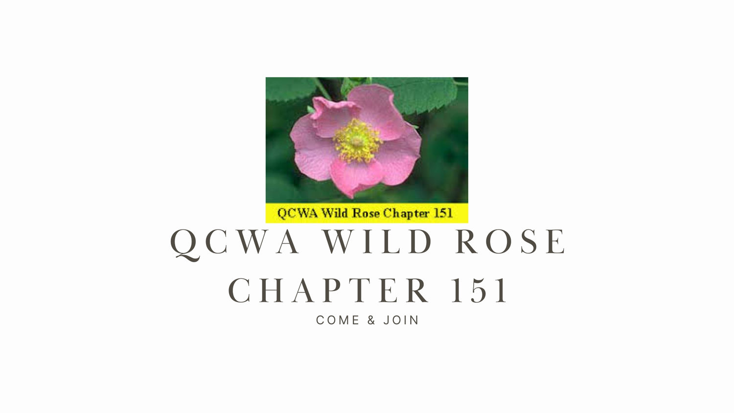 Explore Amateur Radio with QCWA Wild Rose Chapter 151 (Calgary)